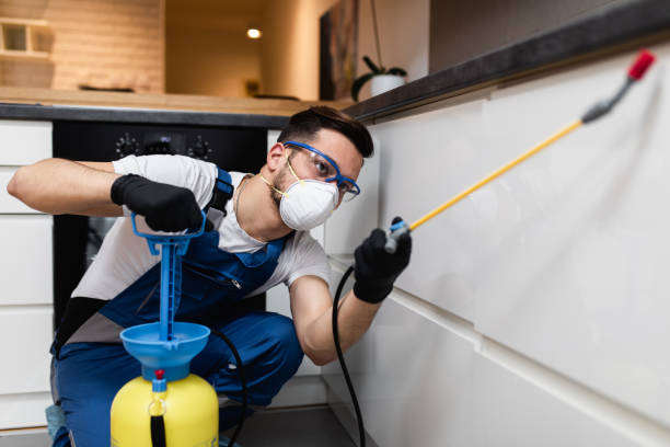 Professional Pest Control in Thatcher, AZ