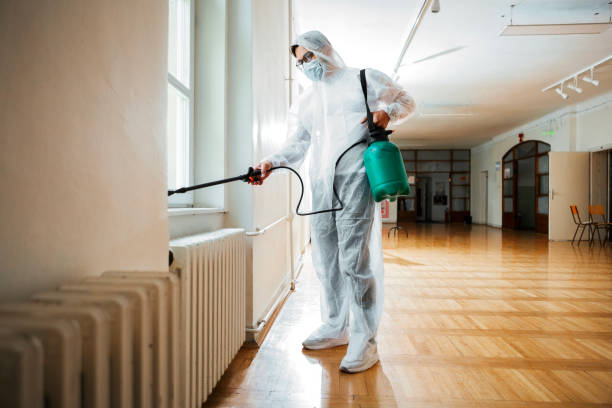 Best Pest Prevention Services  in Thatcher, AZ