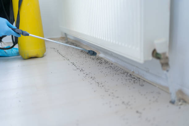 Best Cockroach Control Services  in Thatcher, AZ