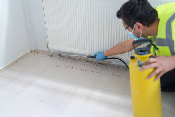 Best Pest Inspection Near Me  in Thatcher, AZ