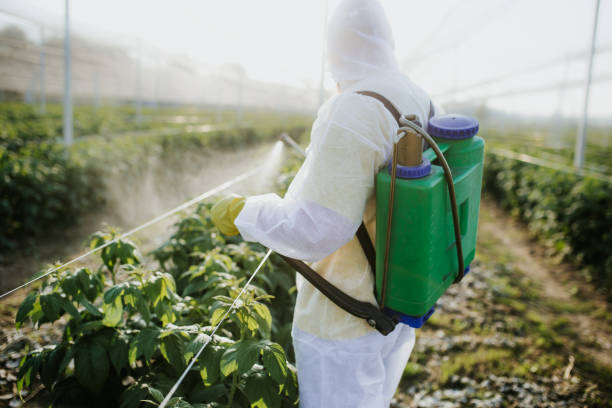 Best Flea Control Services  in Thatcher, AZ